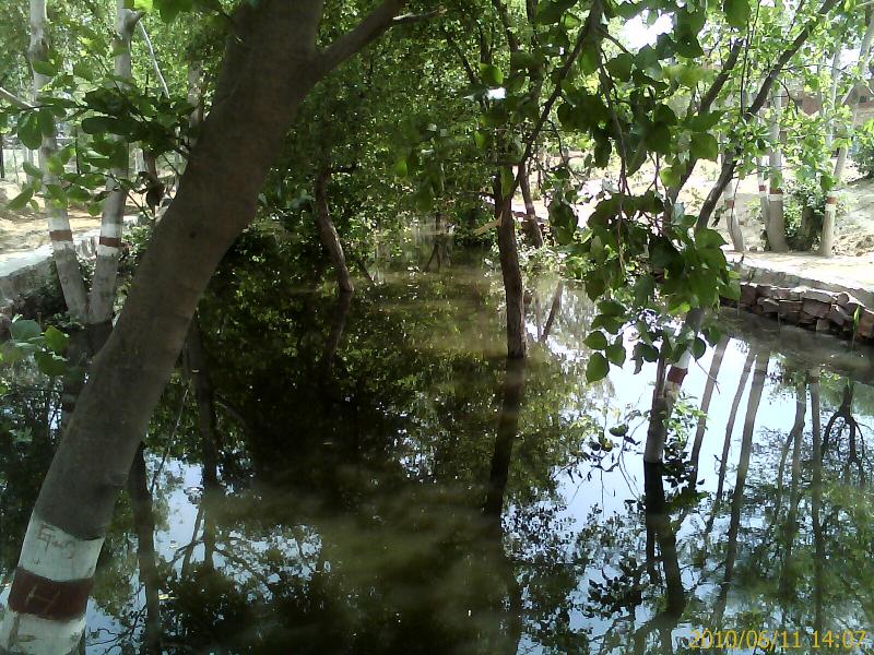 Ponding area