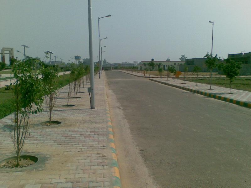 Ploted housing