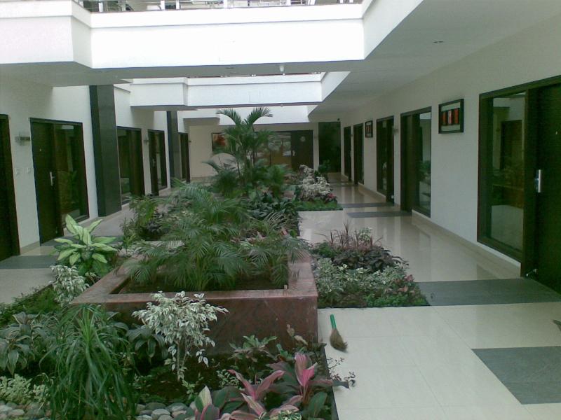 The green effect