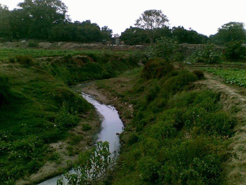 A Drain to be managed by us in Bainpur, agra